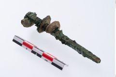 Foto von Bronzespinnrocken (NHMW-PRAE-035749)